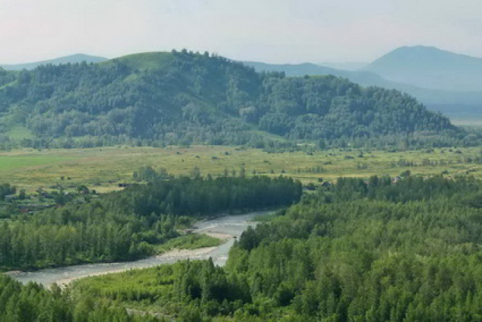 Подарки в аренду